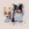 Dogs 01