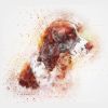 Dogs 02