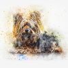 Dogs 03