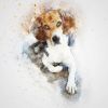 Dogs 04